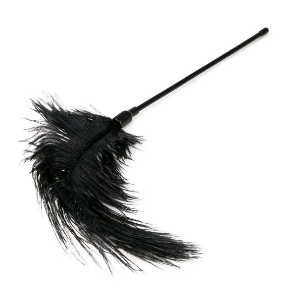 Fetish Collection Anal Black Feather Tickler Fetish Collection Anal Black Feather Tickler